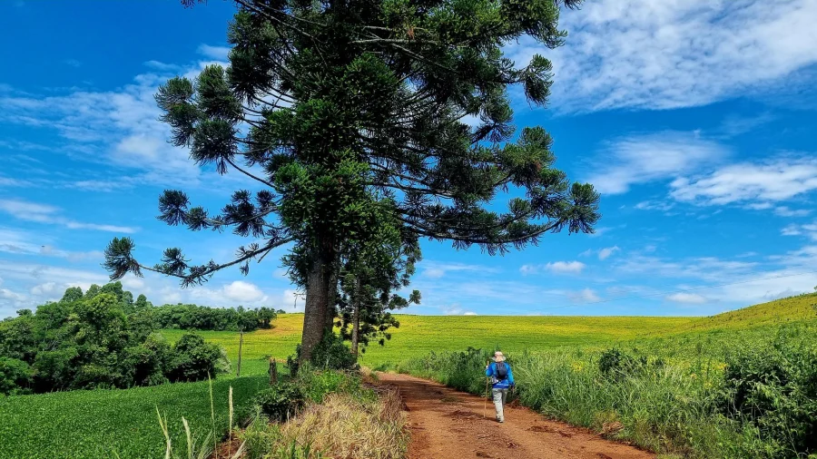 CAMINHO DE SANTIAGO DE DOIS VIZINHOS COMPLETA SEU PRIMEIRO ANIVERS�RIO