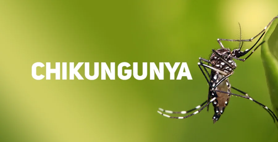 CONFIRMA��O DO PRIMEIRO CASO DE CHIKUNGUNYA ACENDE ALERTA EM DOIS VIZINHOS