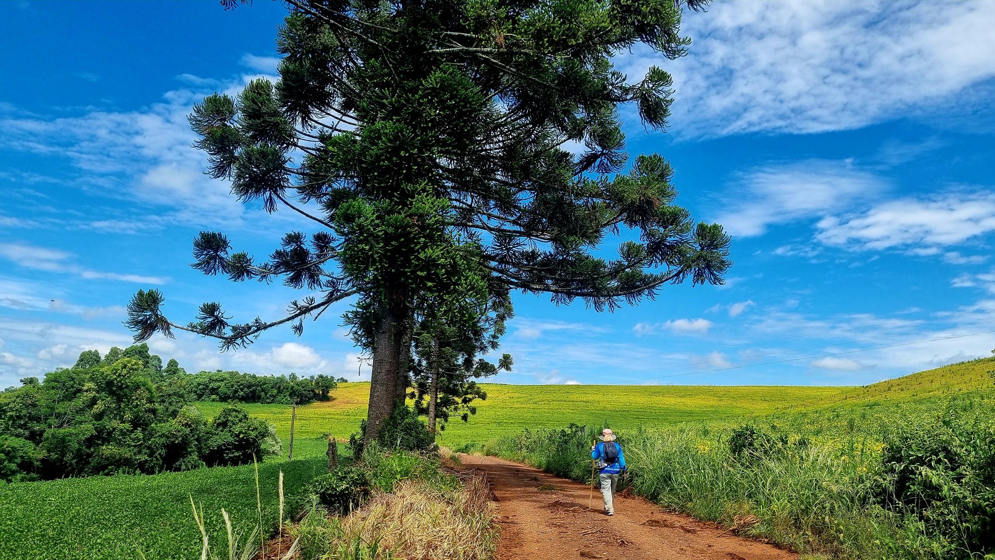 CAMINHO DE SANTIAGO DE DOIS VIZINHOS COMPLETA SEU PRIMEIRO ANIVERS�RIO