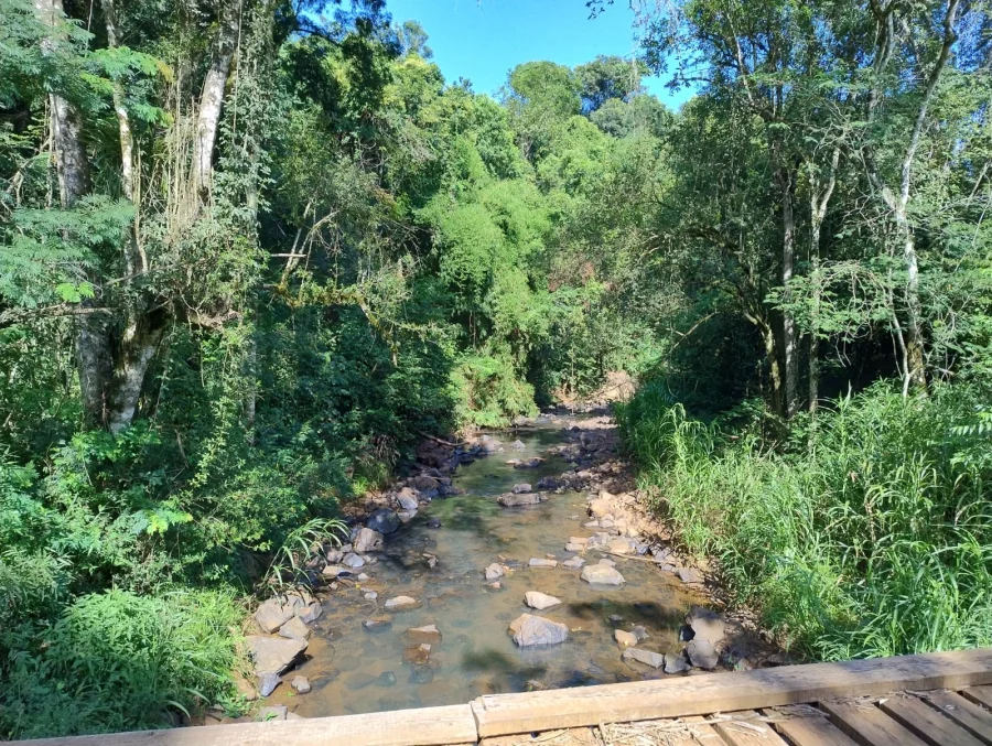 CAMINHO DE SANTIAGO DE DOIS VIZINHOS GANHA NOVO OLHAR SOBRE SUAS �GUAS