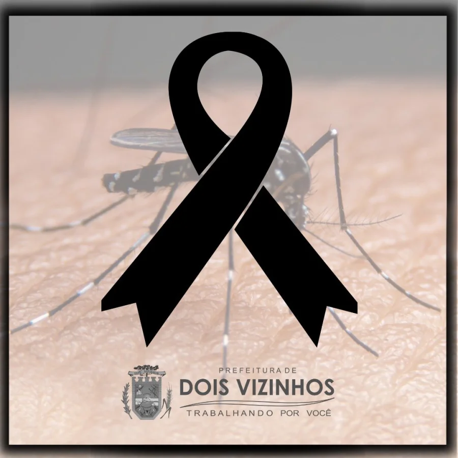 DOIS VIZINHOS REGISTRA 9 BITO POR DENGUE