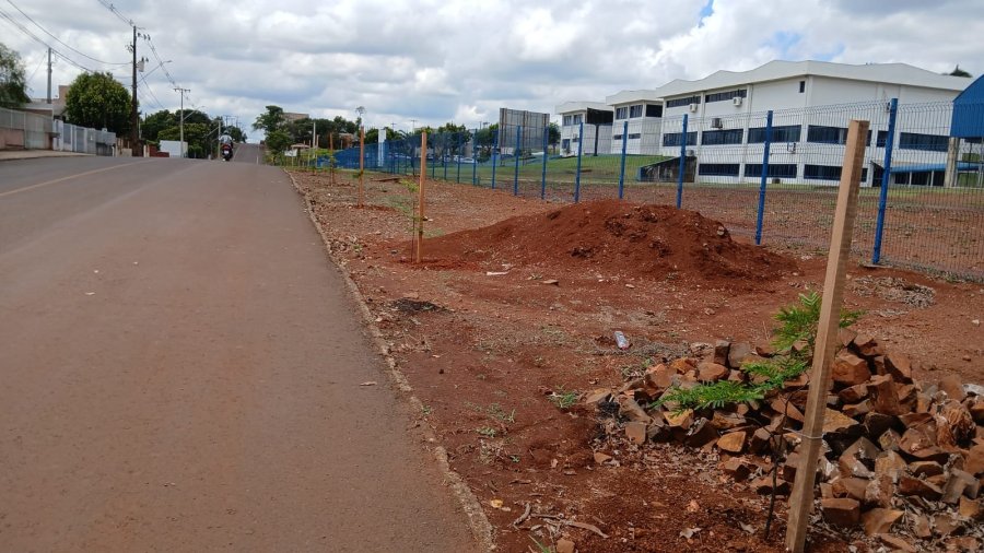 DOIS VIZINHOS AVAN�A EM ARBORIZA��O URBANA COM O PLANTIO DE 1.500 MUDAS EM �REAS P�BLICAS