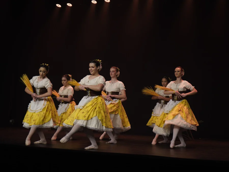 BAL DE DOIS VIZINHOS ENCANTA E CONQUISTA PREMIAO EM FESTIVAL CATARINENSE