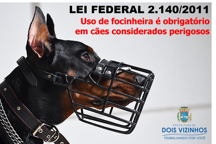 PRESENA DE CES DE GRANDE PORTE SEM FOCINHEIRA NO LAGO DOURADO PREOCUPA FREQUENTADORES