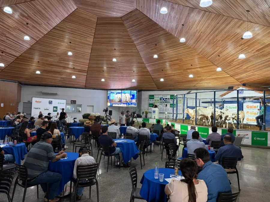 PRIMEIRO LEILO DA EXPOVIZINHOS MOVIMENTA MAIS DE R$ 3 MILHES E ABRE A FEIRA COM GRANDE ESTILO