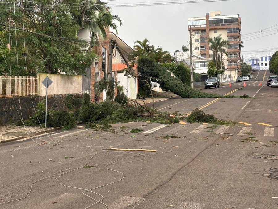 TEMPESTADE PROVOCA DESTRUI��O EM DOIS VIZINHOS