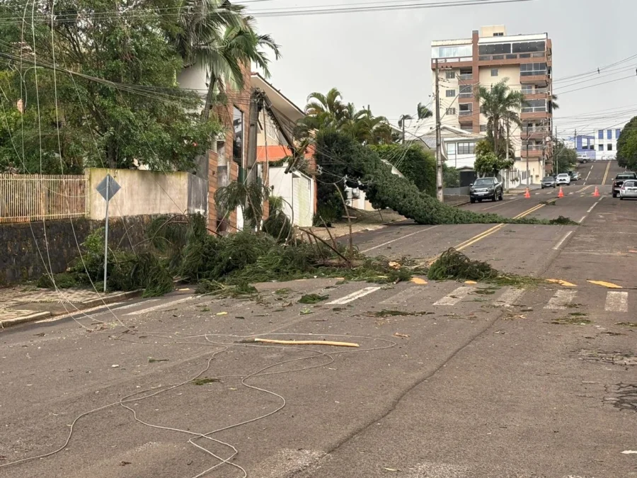 TEMPESTADE PROVOCA DESTRUIO EM DOIS VIZINHOS