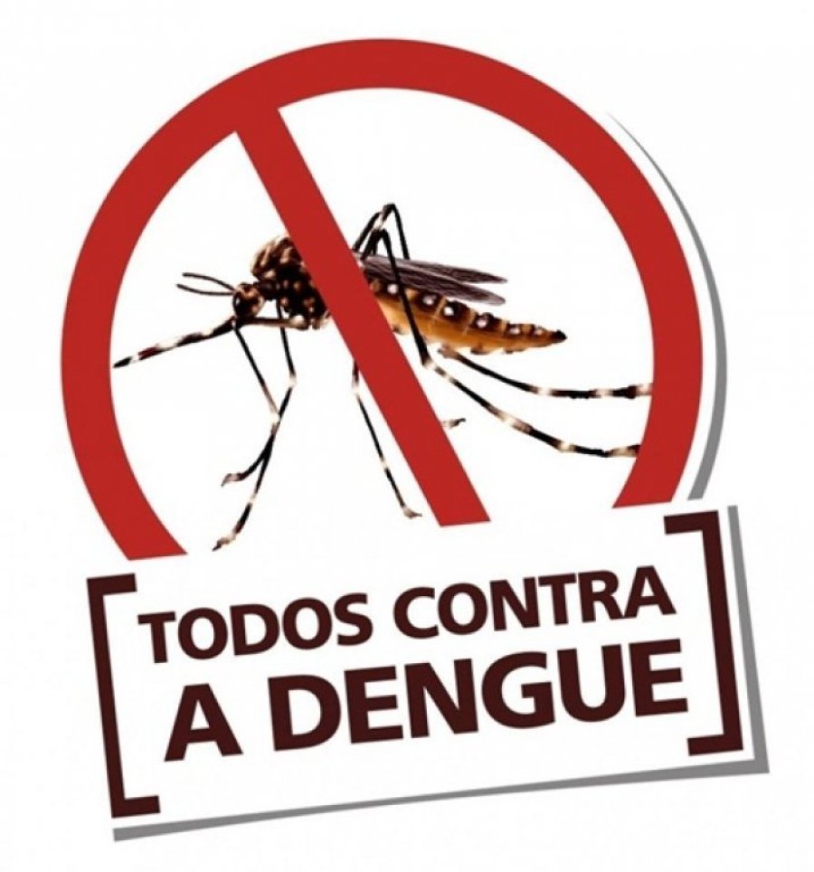 �ndice de Infesta��o do Aedes Aegypti � de 3,3% Em Dois Vizinhos