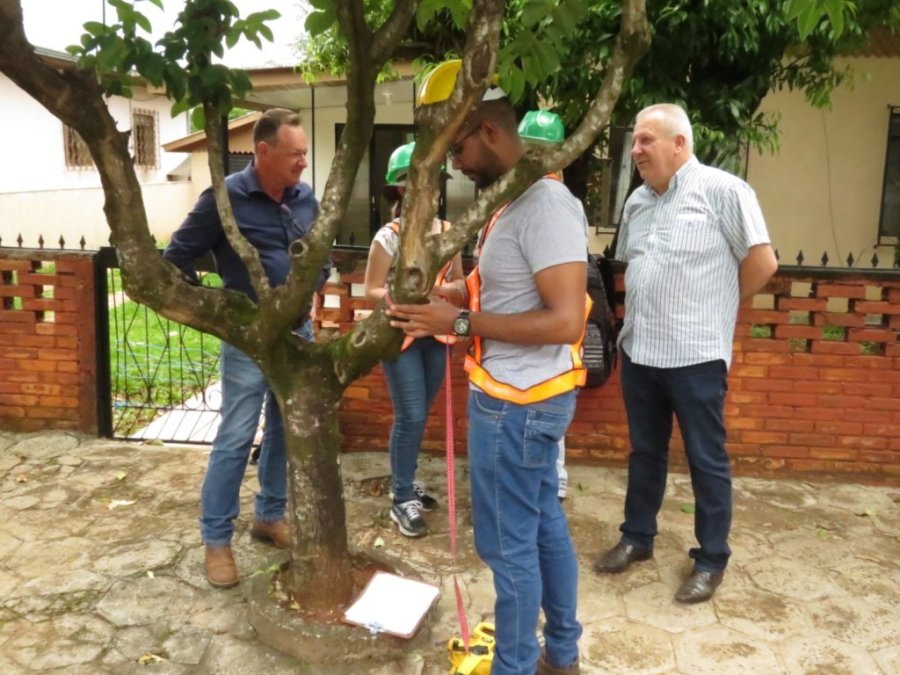 Acad�micos Realizam Invent�rio das �rvores no Per�metro Urbano de Dois Vizinhos