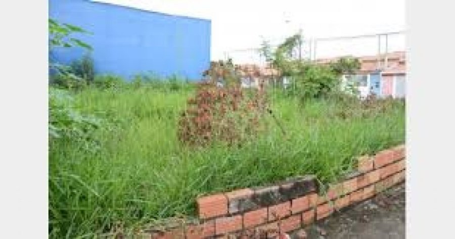 Prefeitura Orienta Propriet�rios para Que Limpem os Terrenos Baldios