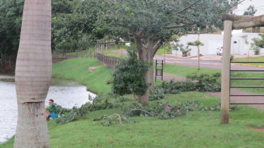Lago Dourado Recebe Melhorias Com Poda de �rvores e Corte de Grama