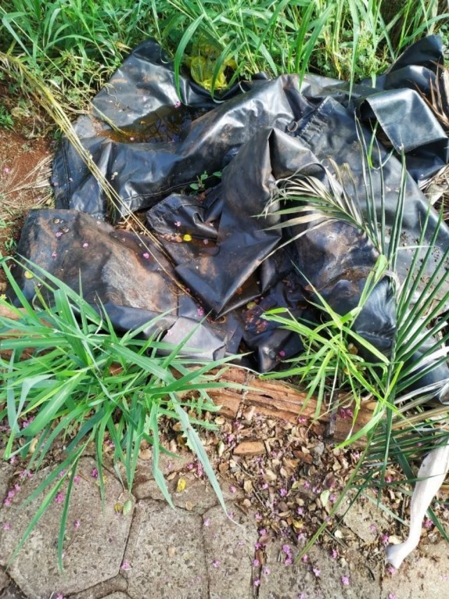 Dengue: Dois Vizinhos Est� Em Alerta!