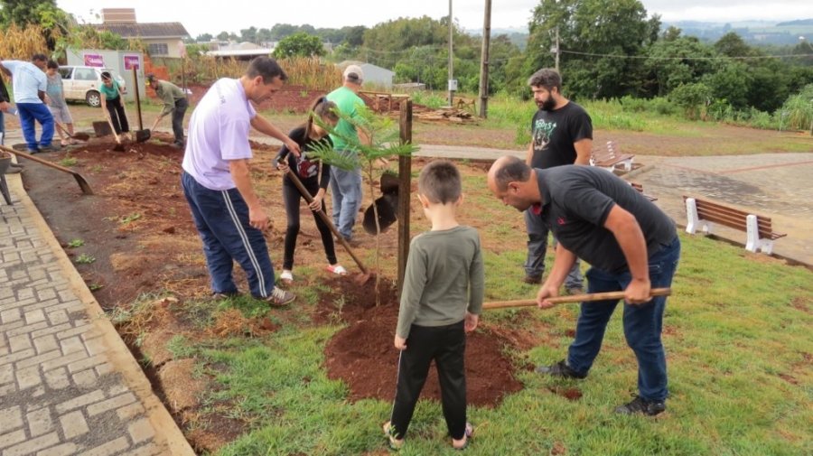 Iniciado o Projeto para o Plantio de Mil �rvores no Per�metro Urbano do Munic�pio