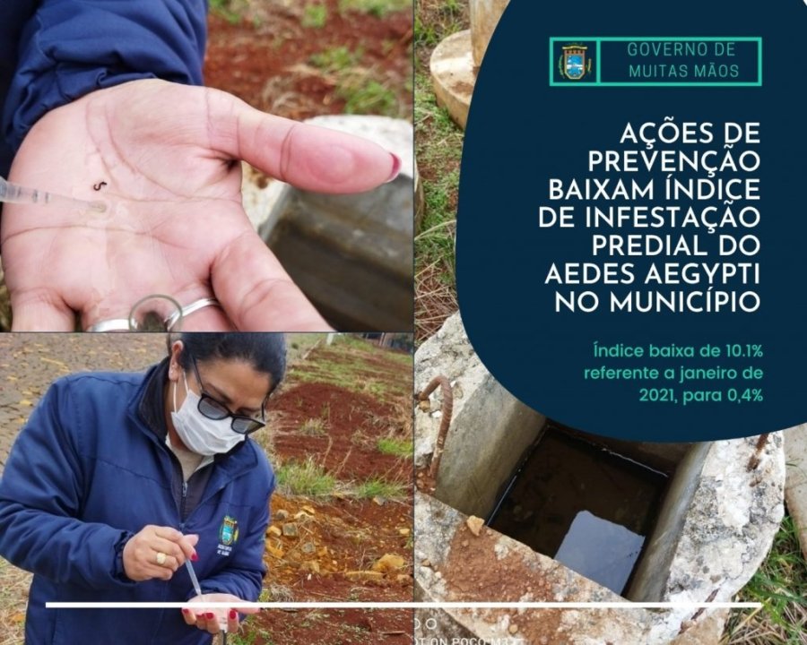 A��es de Preven��o Baixam �ndice de Infesta��o Predial do Aedes Aegypti no Munic�pio