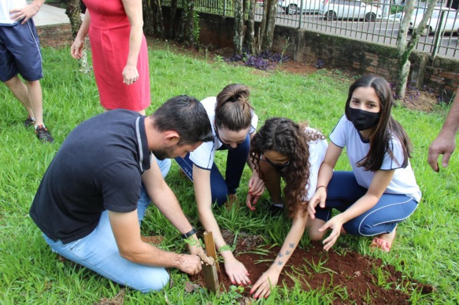 Projetos e Incentivos Garantiram o Plantio de Mais de 6 Mil Mudas de �rvores Nativas no Munic�pio.