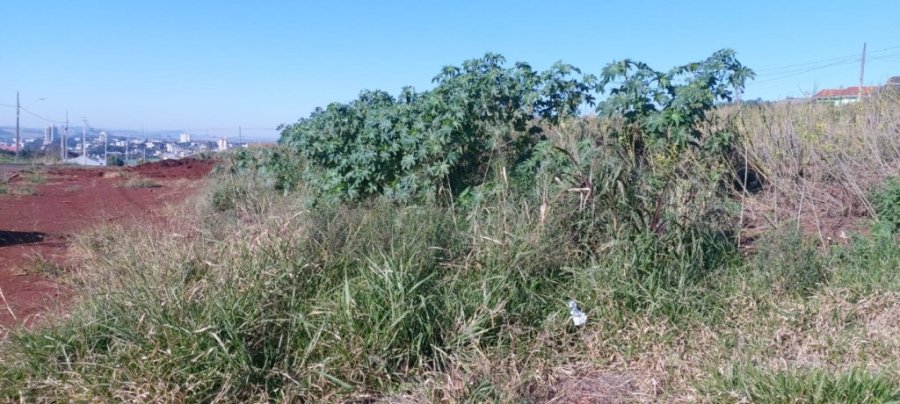 Administra��o Municipal Abrir� Edital de Concorr�ncia para 177 Lotes no Munic�pio