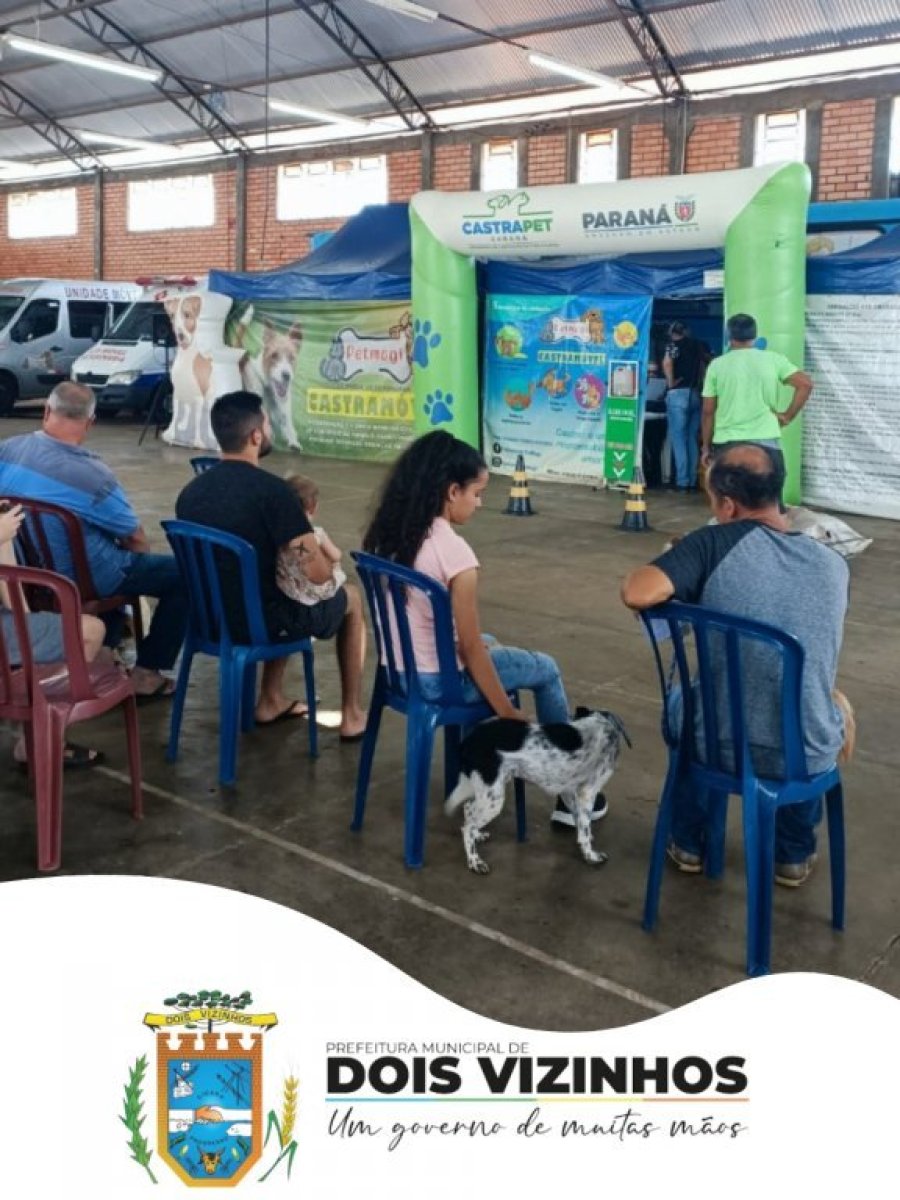 Mais de 120 Animais Foram Castrados no Programa Castrapet Paran� Em Dois Vizinhos.