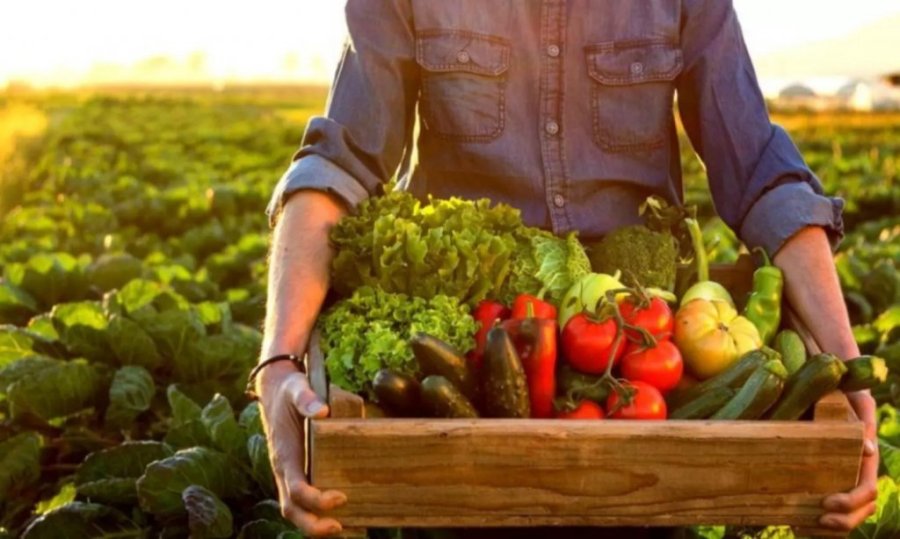 Dois Vizinhos Ser� Sede da 1� Confer�ncia Regional de Seguran�a Alimentar