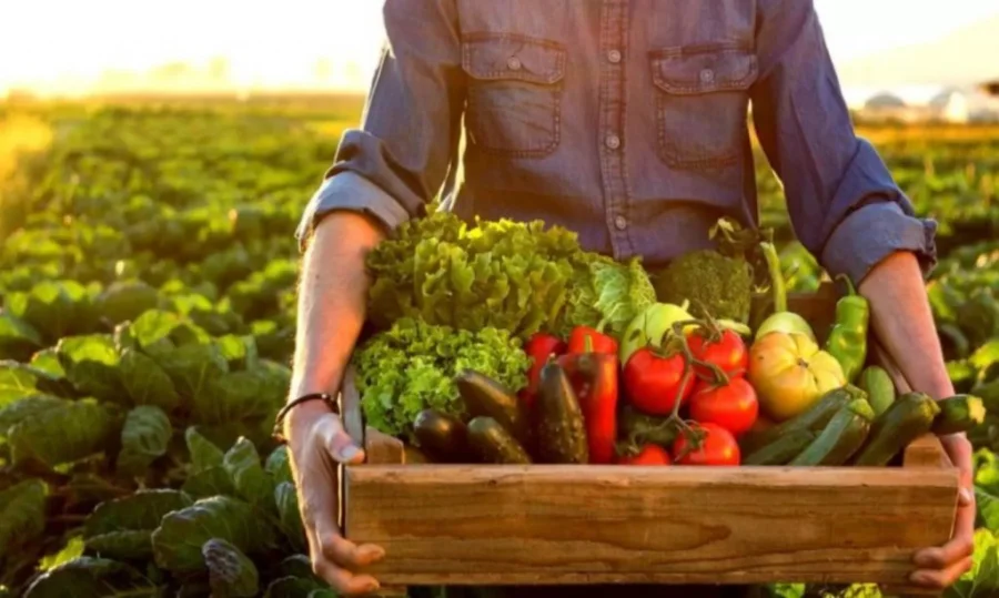 Dois Vizinhos Ser Sede da 1 Conferncia Regional de Segurana Alimentar