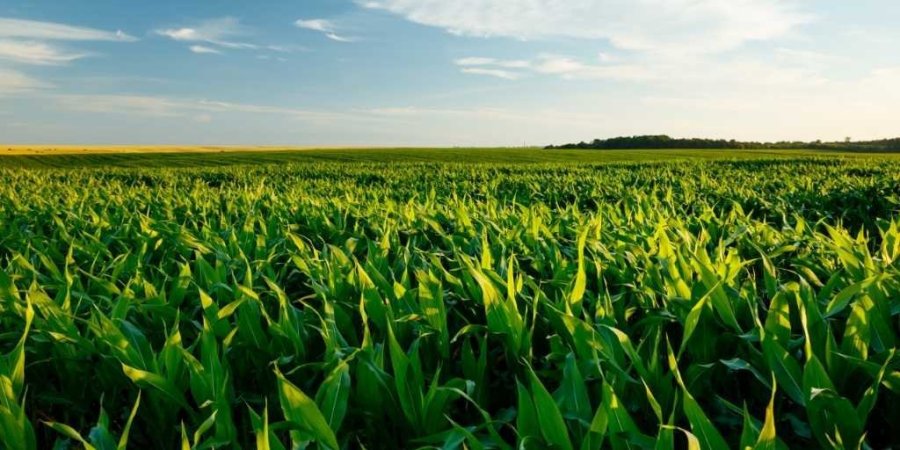 Secretaria Municipal de Desenvolvimento Rural, Meio Ambiente e Recursos H�dricos de Dois Vizinhos Apresenta Resumo das A��es
