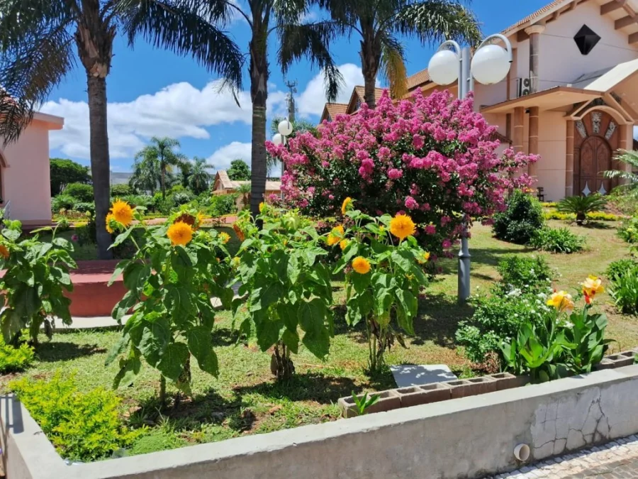 Caminho de Santiago Revela Beleza e Religiosidade Em Projeto Turstico