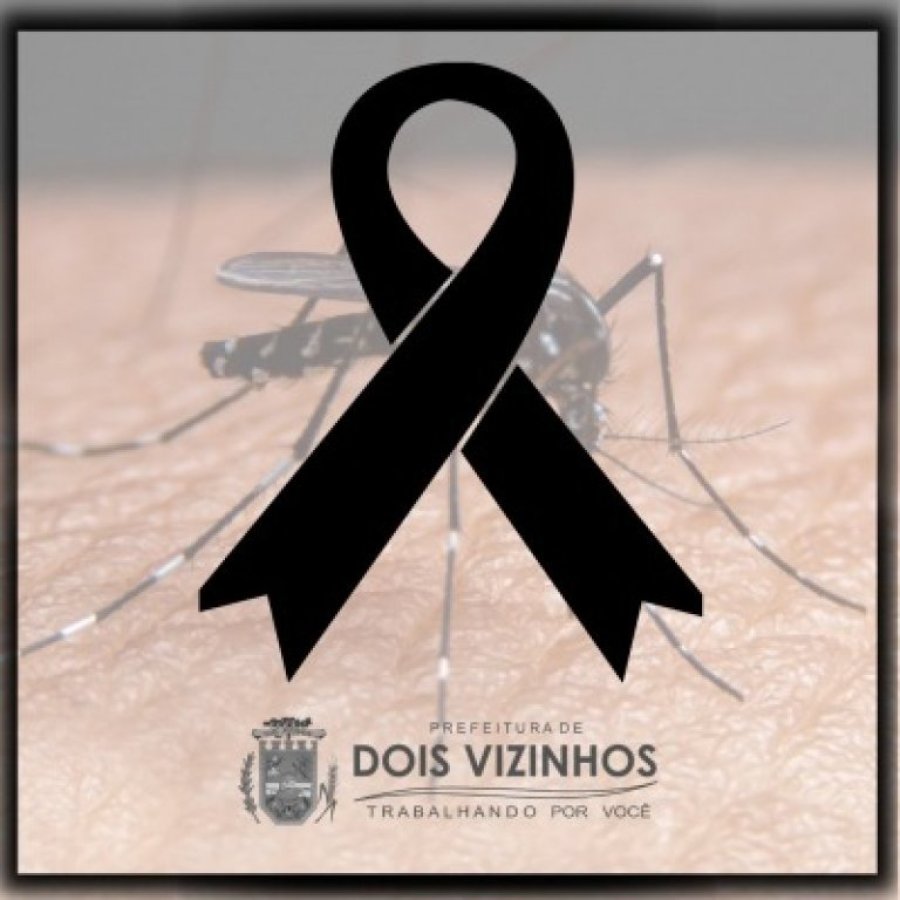 Dengue Faz Mais Duas V�timas Fatais Em Dois Vizinhos