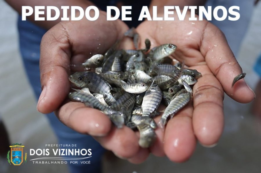 Prefeitura de Dois Vizinhos Promove Distribui��o de Alevinos para Produtores Rurais