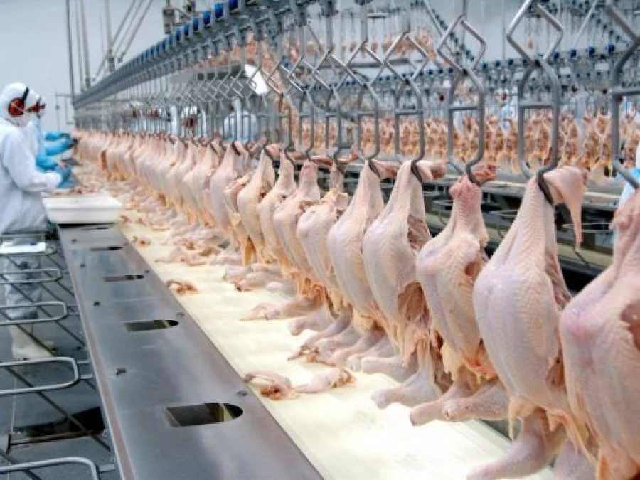 Brf Exportar Frango Halal para a Malsia