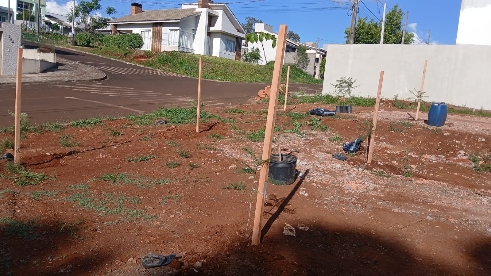 BAIRRO DA LUZ GANHA NOVO ESPAO VERDE COM PLANTIO DE JACARANDS