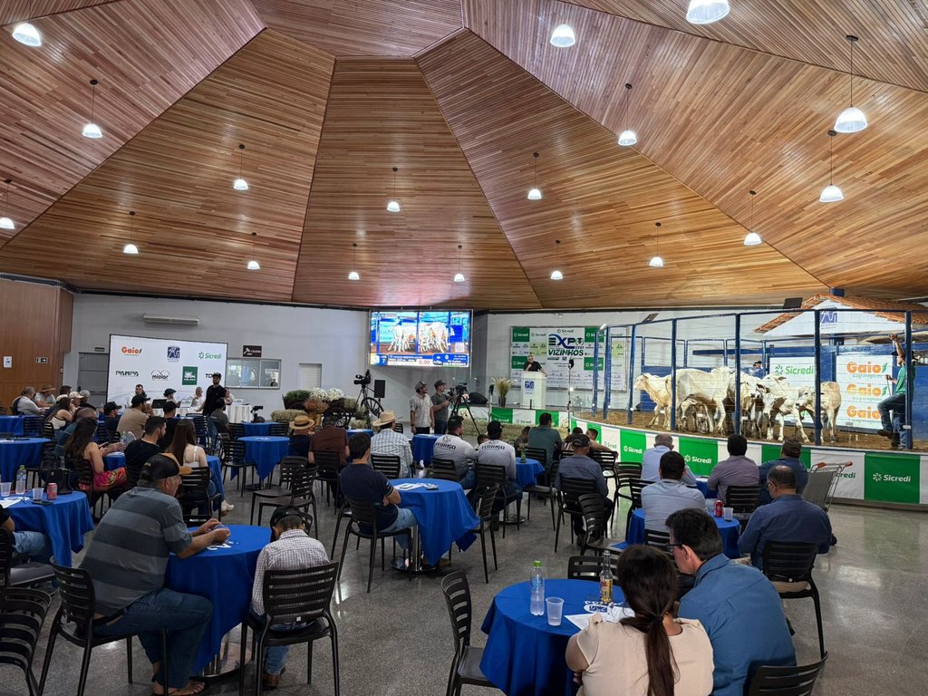 PRIMEIRO LEILO DA EXPOVIZINHOS MOVIMENTA MAIS DE R$ 3 MILHES E ABRE A FEIRA COM GRANDE ESTILO