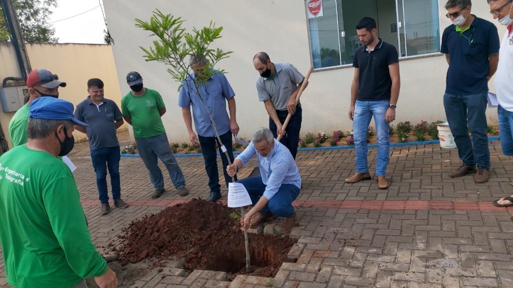 Projeto Primavera Plante Uma rvore