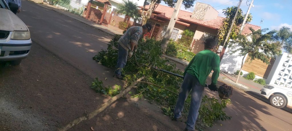 Secretaria de Agricultura e Meio Ambiente Realiza Podas de rvores