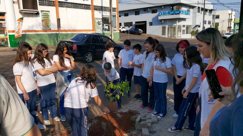 60 Novas Mudas de Arvores Sero Plantadas nas Caladas da Cidade